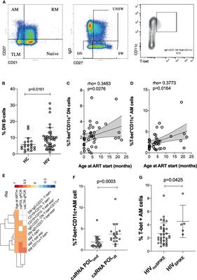 Determinants of B-Cell Compartment Hyperactivation in European Adolescents Living With Perinatally Acquired HIV-1 After Over 10 Years of Suppressive Therapy